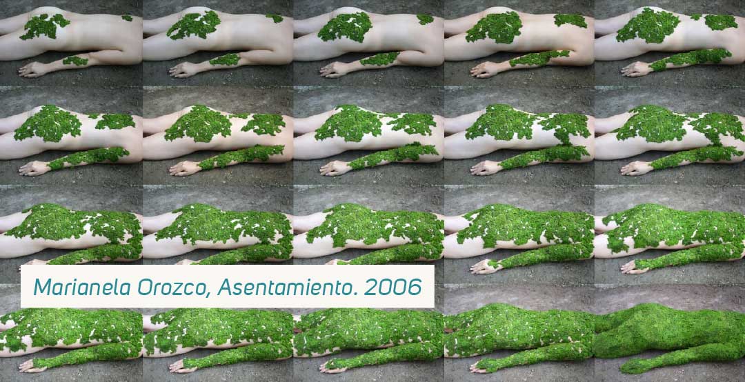 El cuerpo como dispositivo crítico: performance y posibilidad poética